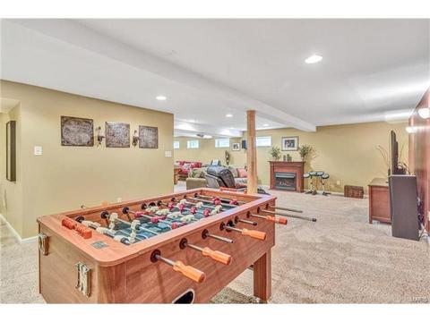 231 Ranchmoor Trl, Ellisville, MO 63011 photo 29