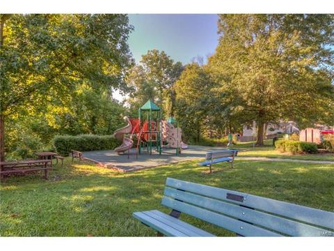 813 Williams Dr, Eureka, MO 63025 photo 29