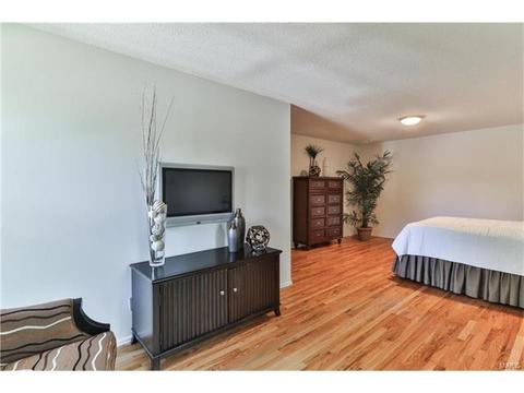 6 Troll Ct, Manchester, MO 63011 photo 13