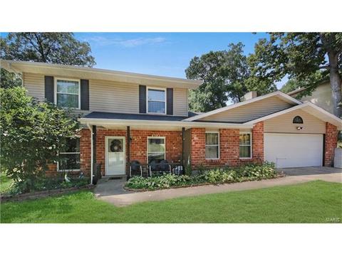 801 Seib Dr, O'fallon, MO 63366 photo 18