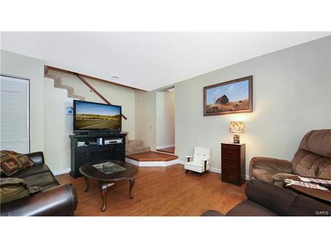 801 Seib Dr, O'fallon, MO 63366 photo 10