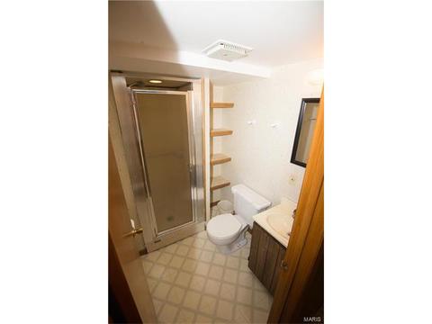234 Vistaoak Ct, Ballwin, MO 63021 photo 16