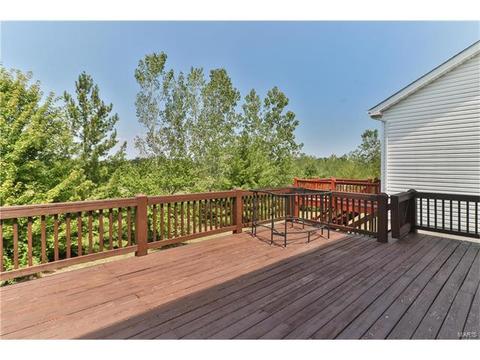 307 Tyndale, O'fallon, MO 63366 photo 23