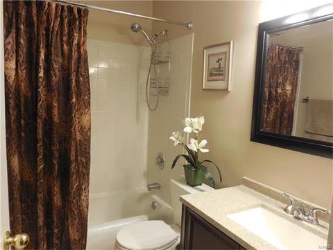 28 N Lang Dr, O'fallon, MO 63366 photo 5