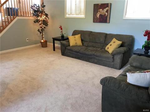 28 N Lang Dr, O'fallon, MO 63366 photo 15