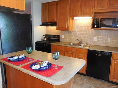 28 N Lang Dr, O'fallon, MO 63366 photo 2
