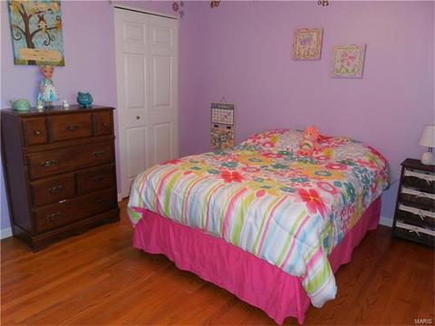 28 N Lang Dr, O'fallon, MO 63366 photo 10