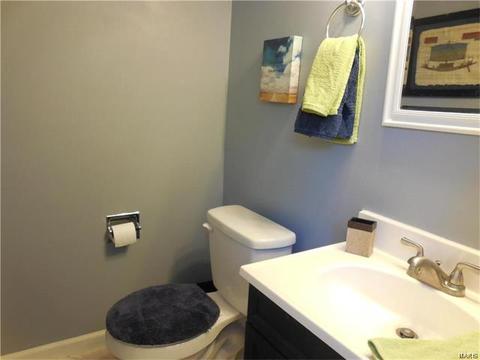 28 N Lang Dr, O'fallon, MO 63366 photo 17