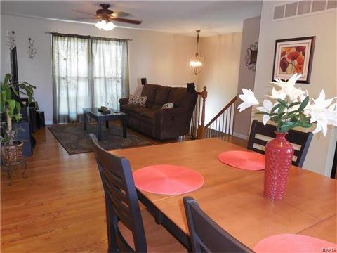28 N Lang Dr, O'fallon, MO 63366 photo 6