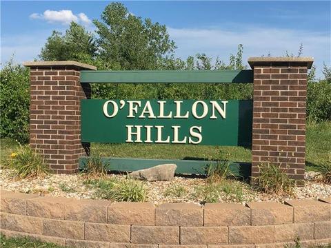 28 N Lang Dr, O'fallon, MO 63366 photo 25