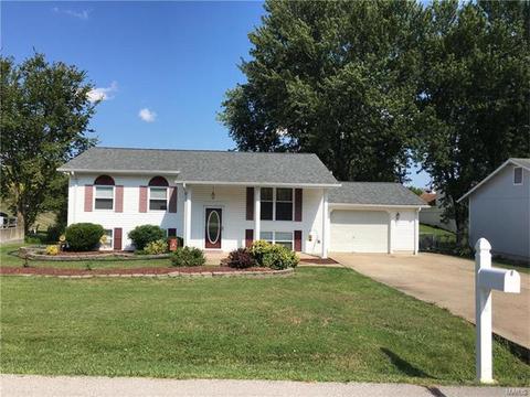28 N Lang Dr, O'fallon, MO 63366 photo 24