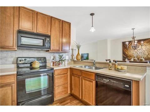 209 Coachgate, Ballwin, MO 63021 photo 12