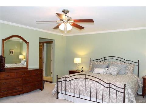 340 Glan Tai Dr, Manchester, MO 63011 photo 29