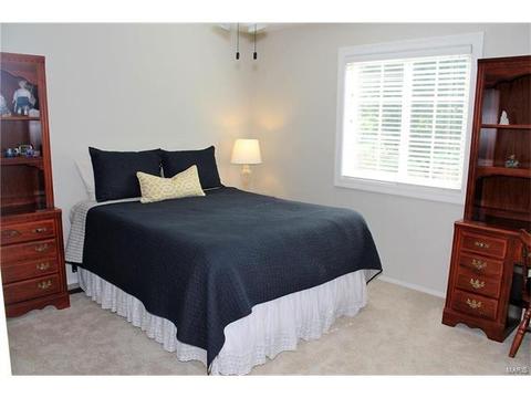 340 Glan Tai Dr, Manchester, MO 63011 photo 42