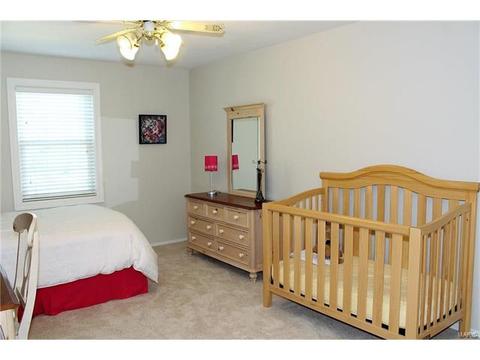 340 Glan Tai Dr, Manchester, MO 63011 photo 36