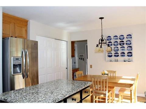 340 Glan Tai Dr, Manchester, MO 63011 photo 20