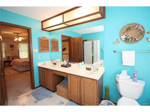 605 Paul Pointe Ct, Ballwin, MO 63011 photo 31
