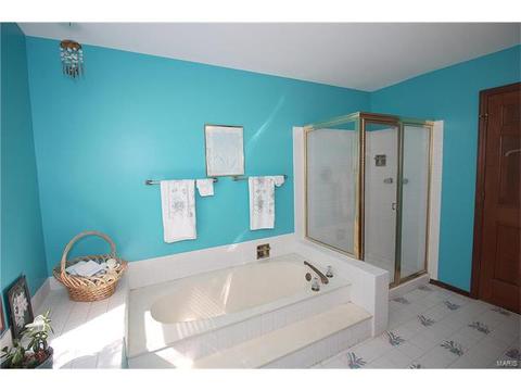 605 Paul Pointe Ct, Ballwin, MO 63011 photo 30