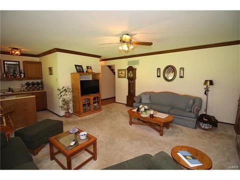 605 Paul Pointe Ct, Ballwin, MO 63011 photo 14