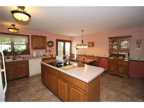 605 Paul Pointe Ct, Ballwin, MO 63011 photo 9