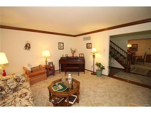 605 Paul Pointe Ct, Ballwin, MO 63011 photo 20