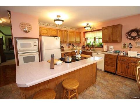 605 Paul Pointe Ct, Ballwin, MO 63011 photo 22