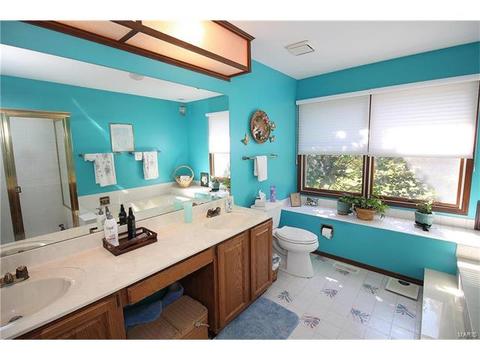 605 Paul Pointe Ct, Ballwin, MO 63011 photo 17