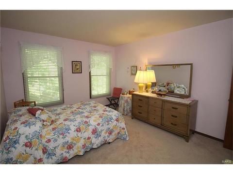 605 Paul Pointe Ct, Ballwin, MO 63011 photo 33
