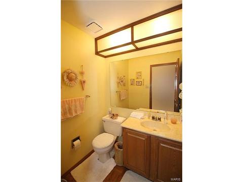 605 Paul Pointe Ct, Ballwin, MO 63011 photo 24