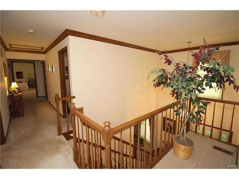 605 Paul Pointe Ct, Ballwin, MO 63011 photo 27