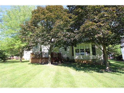 605 Paul Pointe Ct, Ballwin, MO 63011 photo 45