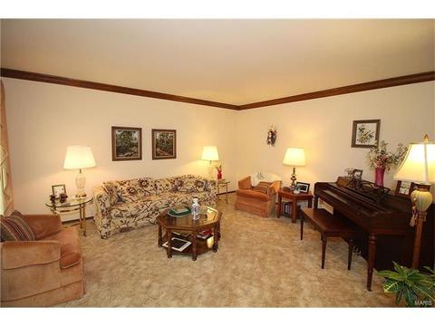 605 Paul Pointe Ct, Ballwin, MO 63011 photo 7