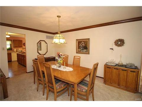 605 Paul Pointe Ct, Ballwin, MO 63011 photo 21