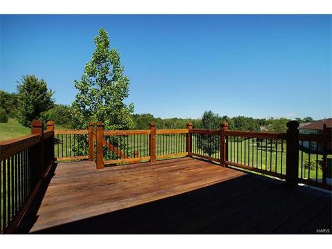 21 Eliot Ct, O'fallon, MO 63366 photo 36