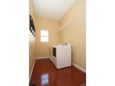 21 Eliot Ct, O'fallon, MO 63366 photo 20