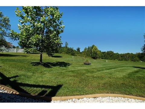 21 Eliot Ct, O'fallon, MO 63366 photo 44