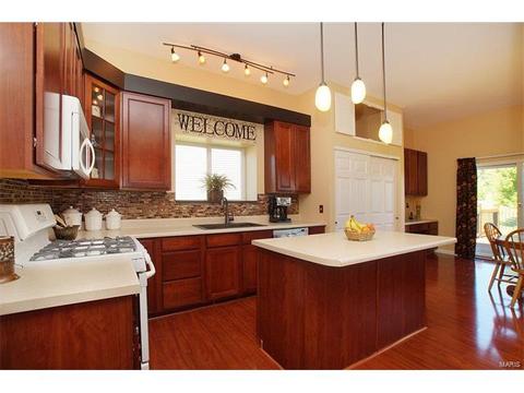 21 Eliot Ct, O'fallon, MO 63366 photo 13
