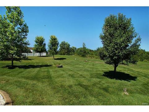 21 Eliot Ct, O'fallon, MO 63366 photo 45