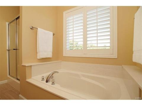 21 Eliot Ct, O'fallon, MO 63366 photo 24