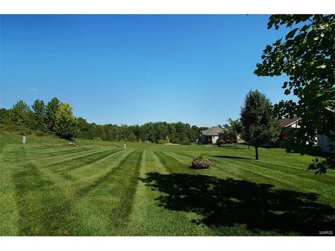 21 Eliot Ct, O'fallon, MO 63366 photo 46