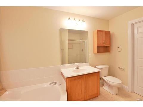 789 Thunder Hill Dr, O'fallon, MO 63368 photo 19