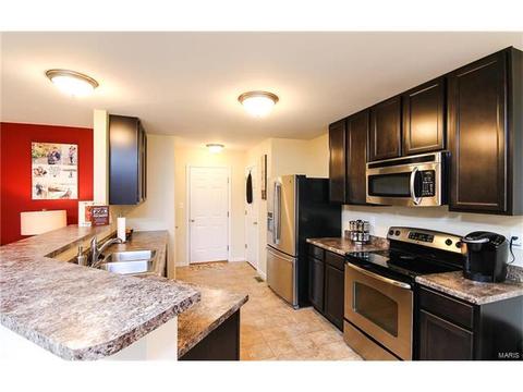 439 Spring Trce, O'fallon, MO 63368 photo 7