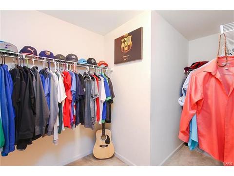 439 Spring Trce, O'fallon, MO 63368 photo 13