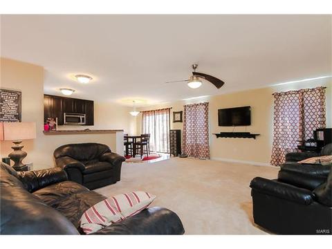 439 Spring Trce, O'fallon, MO 63368 photo 4