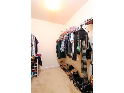 439 Spring Trce, O'fallon, MO 63368 photo 14