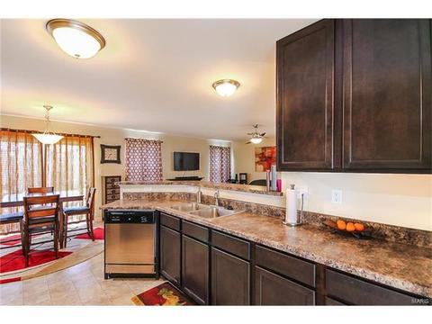 439 Spring Trce, O'fallon, MO 63368 photo 8