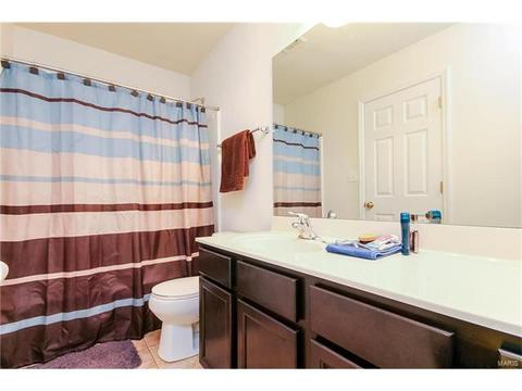 439 Spring Trce, O'fallon, MO 63368 photo 21