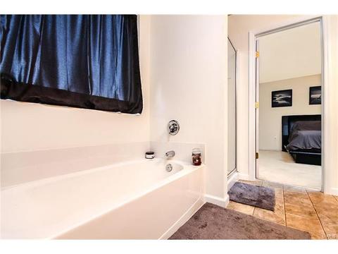 439 Spring Trce, O'fallon, MO 63368 photo 17