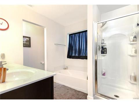 439 Spring Trce, O'fallon, MO 63368 photo 16