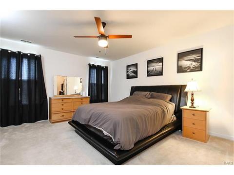439 Spring Trce, O'fallon, MO 63368 photo 12